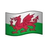 🏴