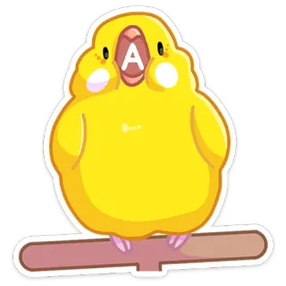 😱 A vogel, geel, schattig, papegaai, dier telegram sticker