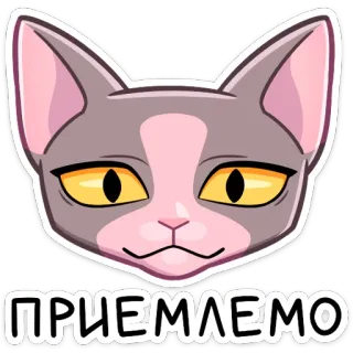 ☺️ ПРИЕМЛЕМО Katze, Aufkleber, Russisch, akzeptabel, okay, Tier whatsapp sticker