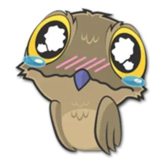 😢 fofo, coruja, pássaro, animal, kawaii, adesivo whatsapp sticker