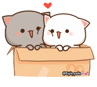 🥰 @Sigilo_packs koty, słodkie, pudełko, miłość, kawaii, zwierzęta whatsapp sticker