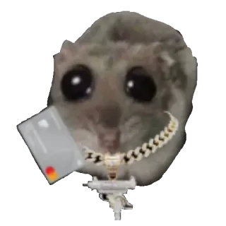 💸 sugar glider sugar glider, meme, credit card, rich, funny animal, bling, money, cute telegram sticker