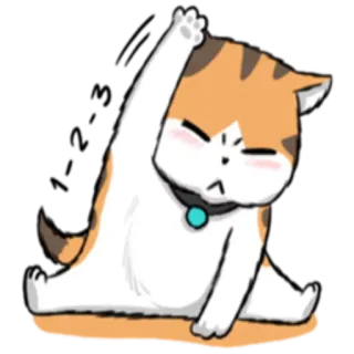 🏃‍♂ кот, стикер, йога, упражнения, милый, животное telegram sticker
