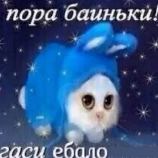 🌚 пора баиньки!
гаси ебало kat, schattig, russisch, aanstootgevend, sterren, konijn whatsapp sticker