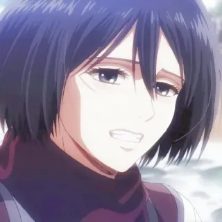 🔖 Mikasa Ackerman Attack on Titan Mikasa, Ackerman, anime, Attack on Titan, manga, character telegram sticker