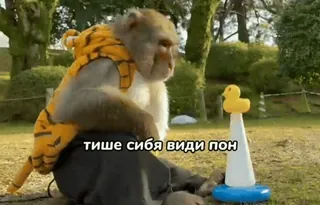 🤫 тише себя види пон สัตว์, ลิง, เป็ด, รัสเซีย telegram sticker