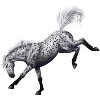 👿 лошадь, животное, пятна, лошадиный telegram sticker