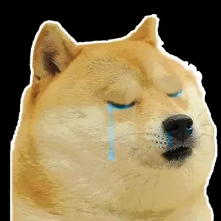 😢 Doge hond, meme, verdrietig, huilen, doge, tranen telegram sticker