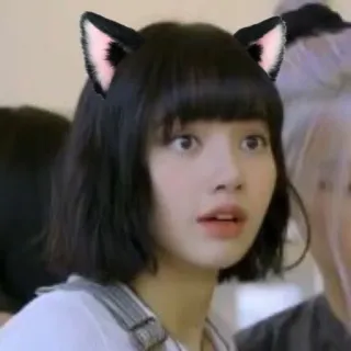 🐁 Lisa kpop, lisa, blackpink, orejas de gato, selfi, mujer, asiática whatsapp sticker
