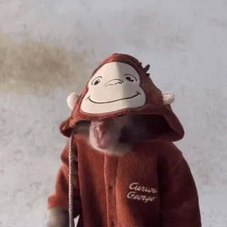 🤨 Curious George monkey, curious george, children's book, cartoon, animal, cute whatsapp sticker