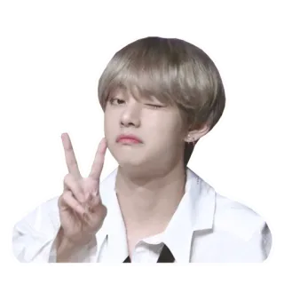 ✌️ telegram sticker