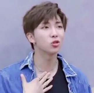 🙏 RM kpop, rm, bts, música, celebridad, cantante whatsapp sticker