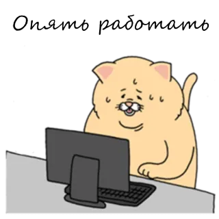 😐 Опять работать cat, work, tired, computer, animal, cartoon, office telegram sticker