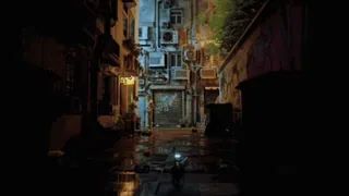 🐈 alley, night, urban, city telegram sticker
