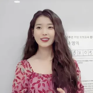 🪜 2주년 기념 모의고사 문학 영역 korean, text, woman, celebrity telegram sticker