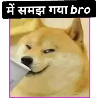 🤔 Doge Doge Meme में समझ गया bro doge, meme, understanding, smirk, indian, funny, shiba inu telegram sticker