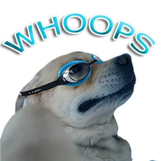 😬 WHOOPS dog, whoops, glasses, animal telegram sticker