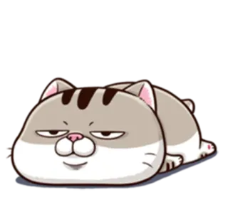 🙄 Katze, Tier, faul, süß, Cartoon, Haustier, Haustier whatsapp sticker
