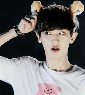 💙 persona, diadema orejas, retrato, coreano, exo, park chanyeol telegram sticker