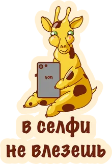 👌 в селфи не влезешь Girafa, Selfie, Desenho animado, Animal, Engraçado, Fofo telegram sticker