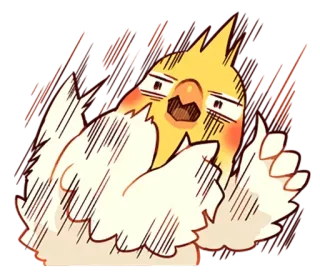 😱 pássaro, calopsita, animal, desenho animado, adesivo telegram sticker