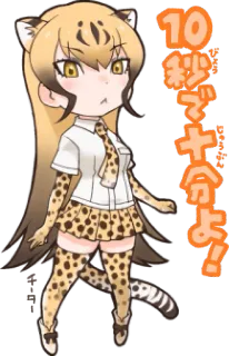 👍 10秒で十分だよ! อนิเมะ, จิบิ, แมว, น่ารัก, สัตว์, ญี่ปุ่น telegram sticker