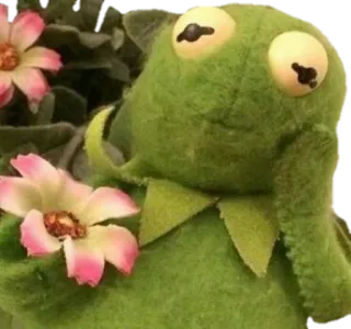 🌸 Kermit Kermit la grenouille, Muppets, grenouille, fleurs, vert, personnage telegram sticker