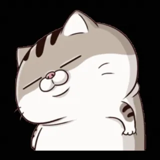 🍑 mèo, nhãn dán, dễ thương, động vật, hoạt hình, hình minh họa, thú cưng whatsapp sticker