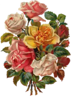 🌺 ดอกไม้, ดอกกุหลาบ, ช่อดอกไม้, ลายดอก, วินเทจ telegram sticker