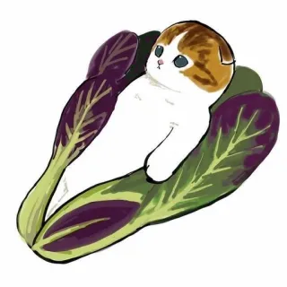 💗 kot, kociak, liść, roślina, słodki, zwierzę telegram sticker