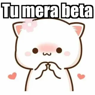 ⚜ Tu mera beta mignon, chat, animal, kawaii, expression, drôle, mème whatsapp sticker