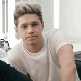 🌙 Niall Horan niall horan, sänger, one direction, promi, porträt, mann telegram sticker