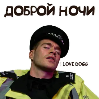 😴 ДОБРОЙ НОЧИ police, dog, night, good, sleep whatsapp sticker