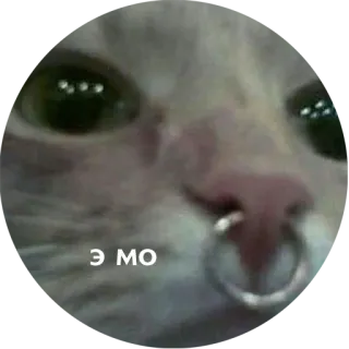😭 Э мо kat, emo, piercing, dier, sticker whatsapp sticker