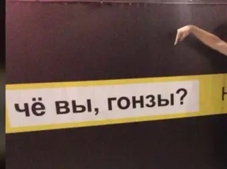 🤨 ЧЁ ВЫ, ГОНЗЫ? telegram sticker