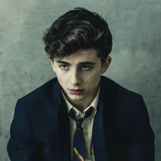 😐 Timothée Chalamet ator, retrato, celebridade telegram sticker