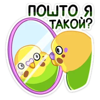 ☹️ Почто я такой? vogel, spiegel, schattig, vraag, verward, parkiet, huisdier telegram sticker