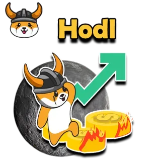 🤑 Hodl hodl, krypto, bitcoin, mem, finanse, inwestycje, doge, księżyc, wiking telegram sticker