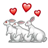 🐇