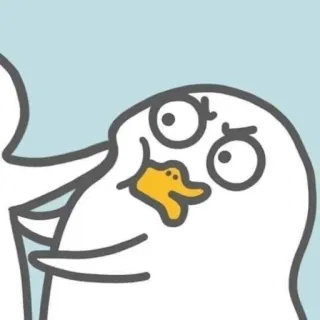 💨 burung, putih, kartun, konyol, binatang telegram sticker