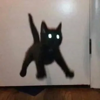 🪰 cat, black cat, animal, eyes, jumping telegram sticker