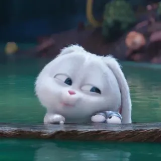 🐰 Snowball The Secret Life of Pets Hase, Häschen, niedlich, weiß, Tier, Cartoon, Film whatsapp sticker