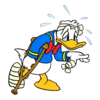 🤕 Donald Duck Phim hoạt hình, Vết thương, Băng, Nạng, Disney, Vịt Donald telegram sticker
