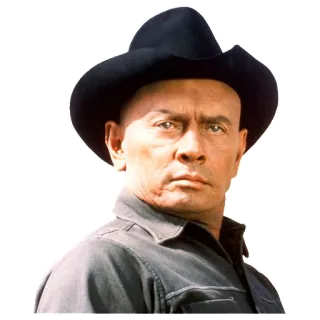 Westworld telegram stickers