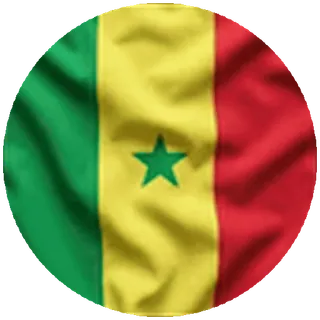 🇸🇳