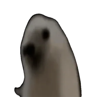 🤩 cat, meme, funny, blurry, animal whatsapp sticker