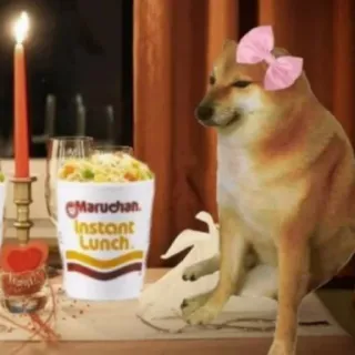 🐕 Maruchan Instant Lunch doge, cheems, dog, instant noodles, ramen, noodles, food, cute telegram sticker