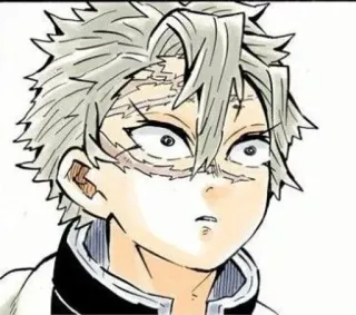 😨 Sanemi Shinazugawa Demon Slayer Anime, Manga, Demon Slayer, Sanemi Shinazugawa, Pilastro del Vento, Personaggio, Sfregiato, Personaggio anime telegram sticker