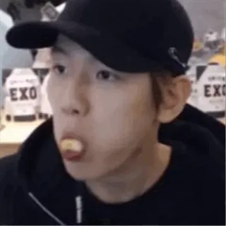 🌻 EXO personne, manger, kpop, exo telegram sticker
