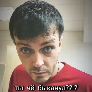 🤨 ты чё быканул??!? telegram sticker